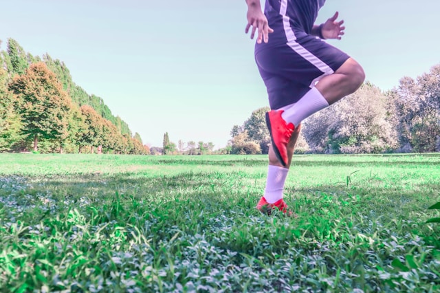 Tranvelloxia възстановяване