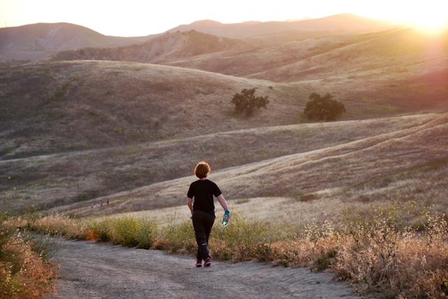 Tranvelloxia домашна енергия